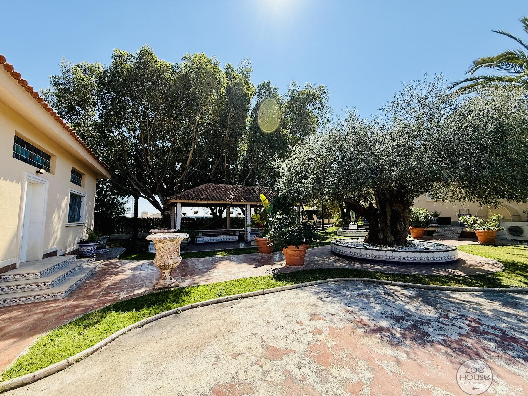 Venta de chalet en Elche-Elx