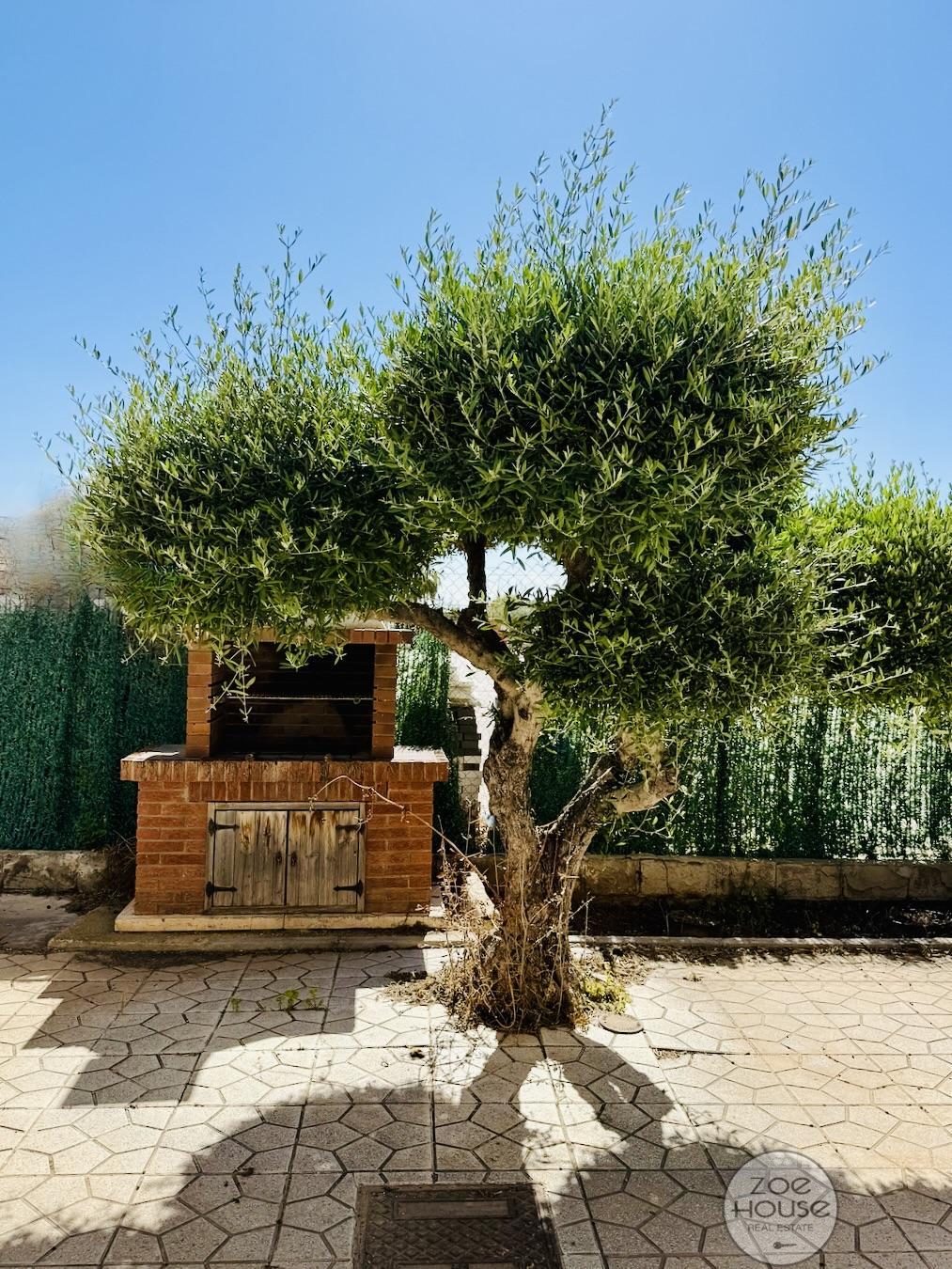 Venta de chalet en Elche-Elx