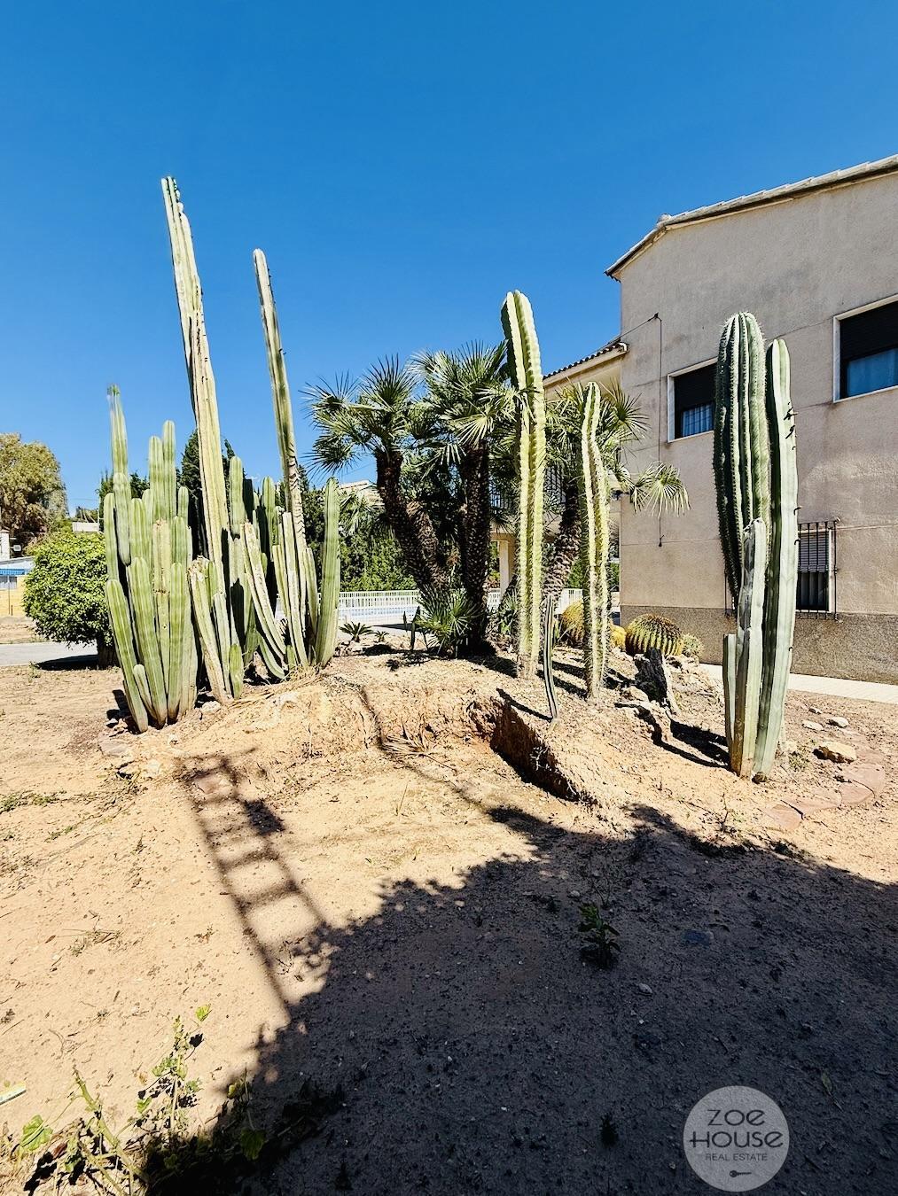 Venta de chalet en Elche-Elx