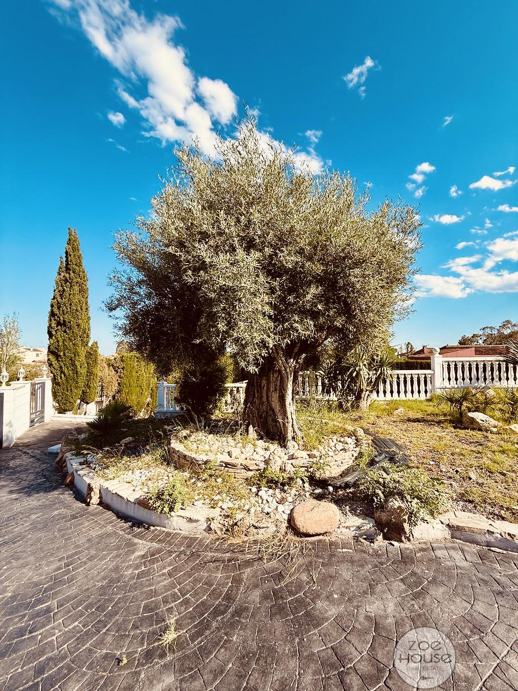 Venta de chalet en Aspe