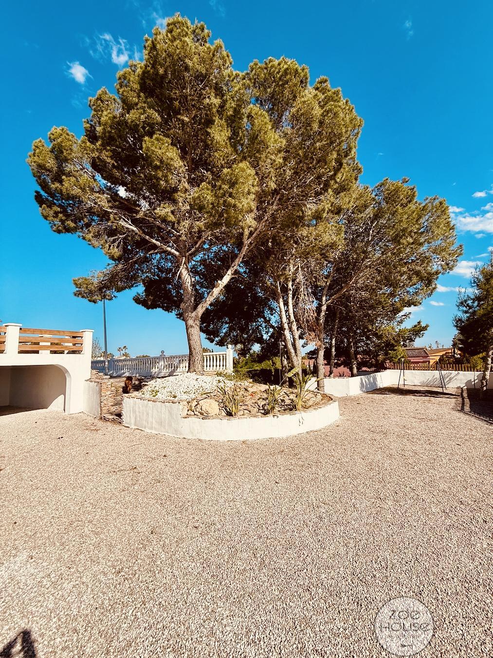 Venta de chalet en Aspe