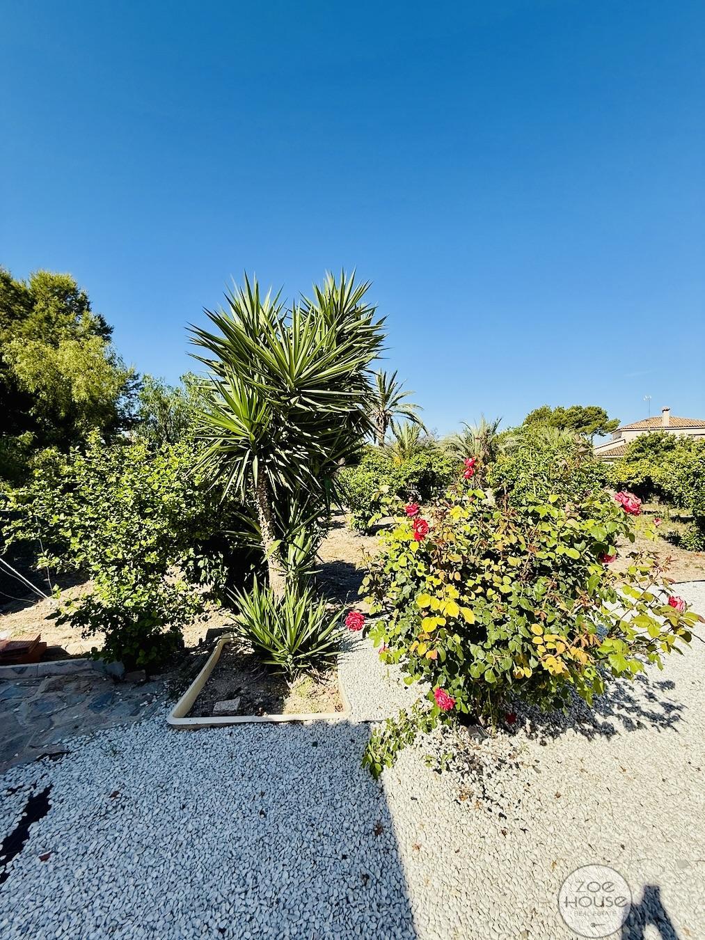 Jardín