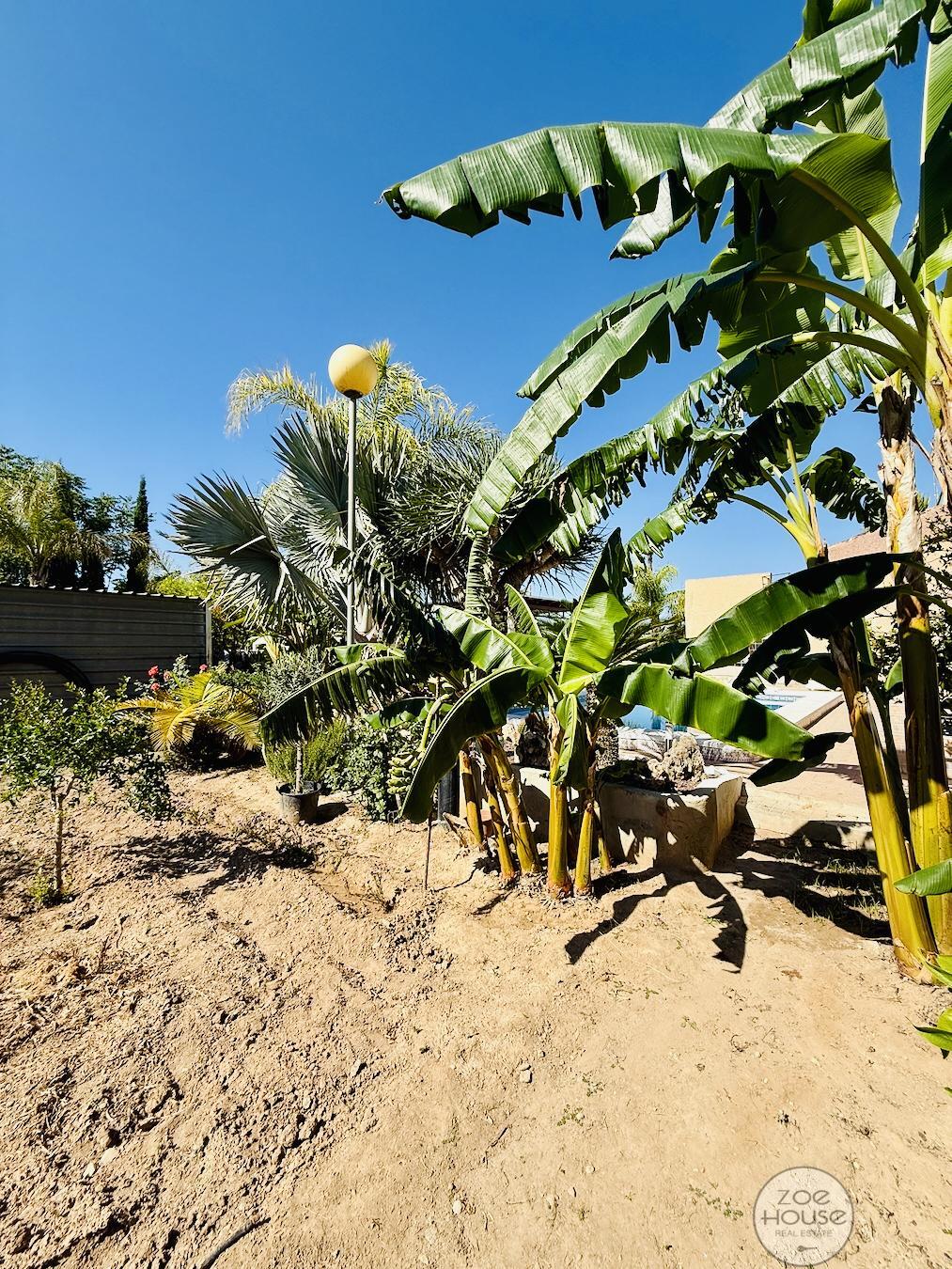 Jardín