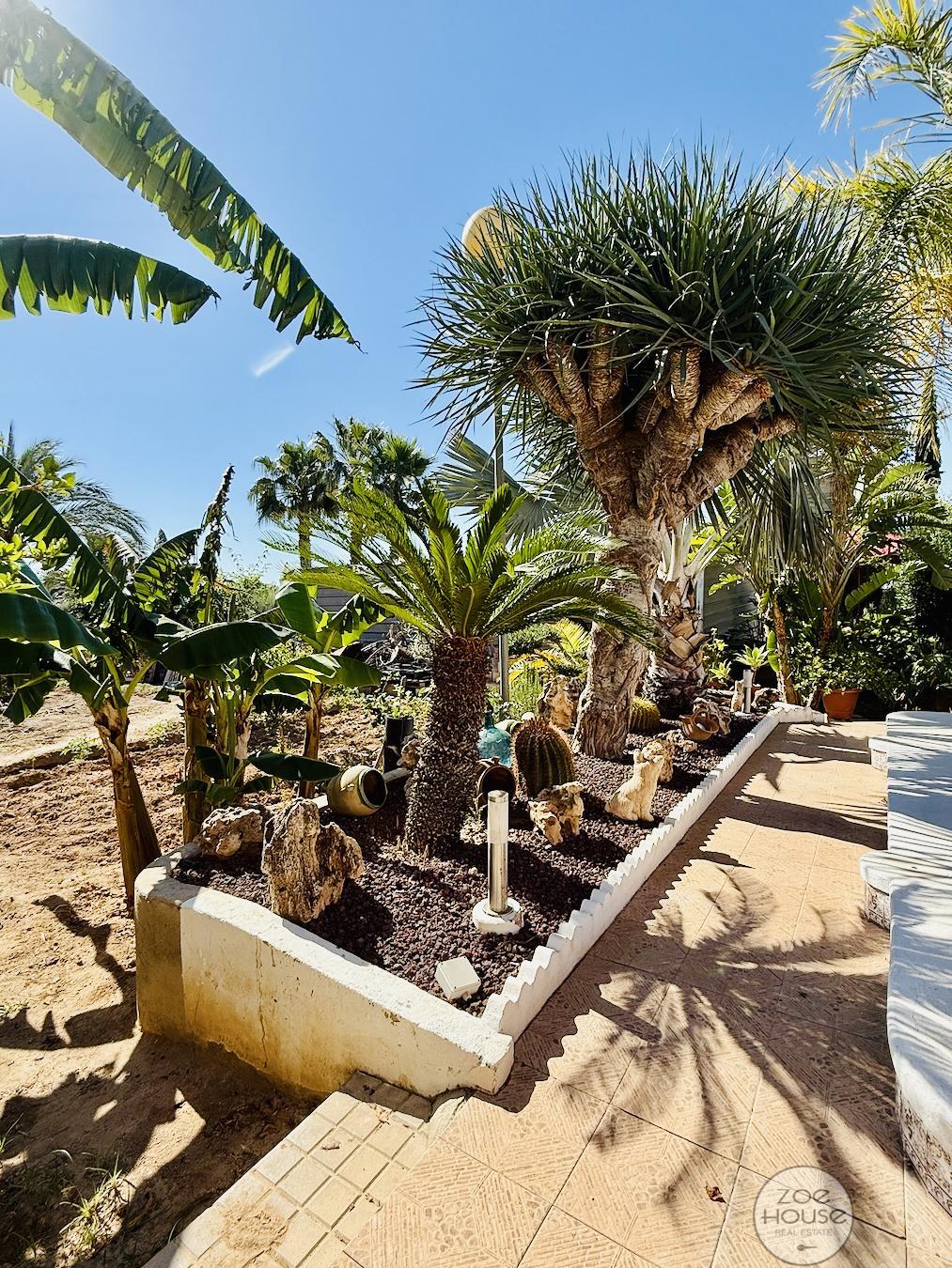 Jardín