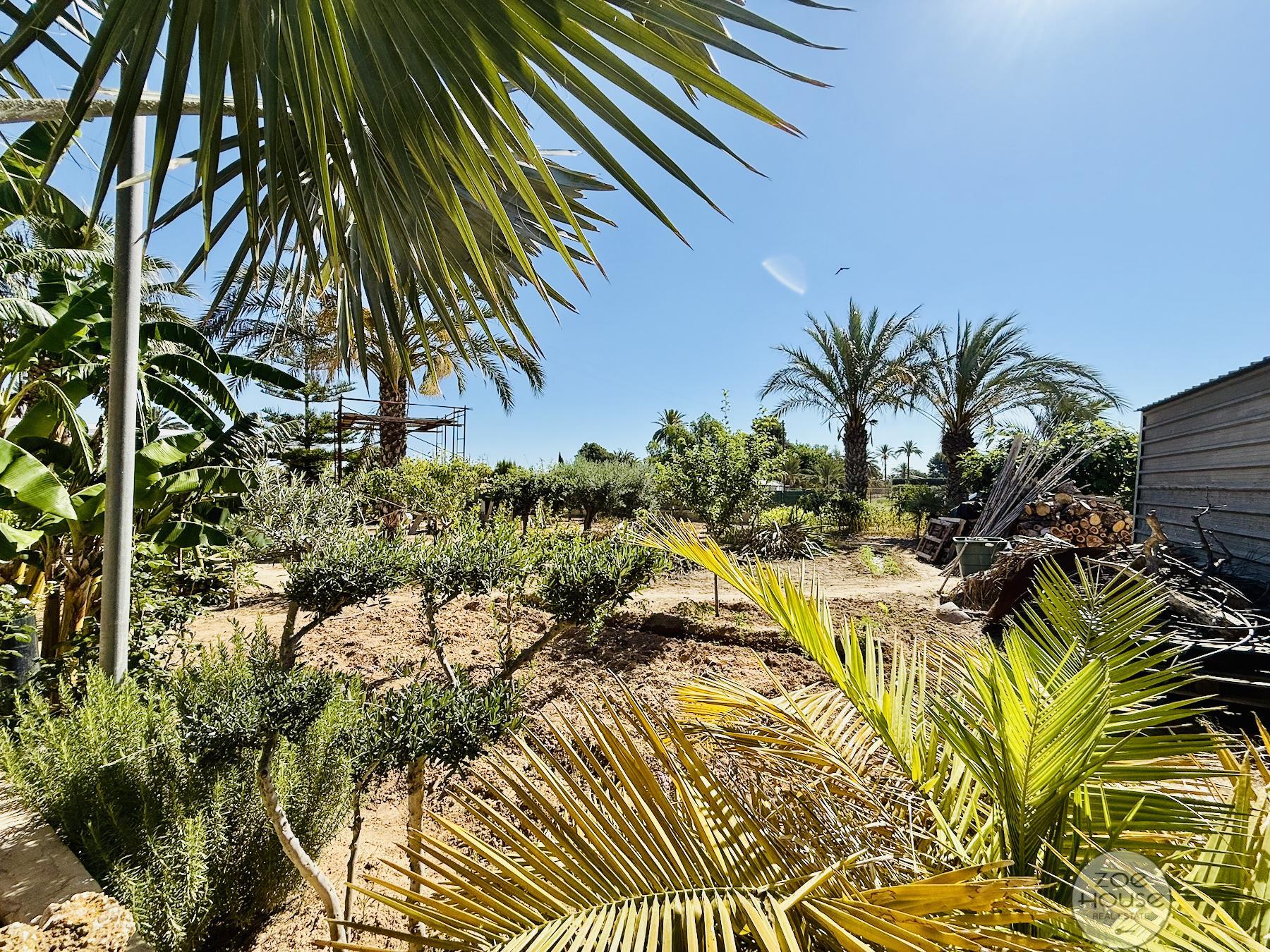 Terreno
