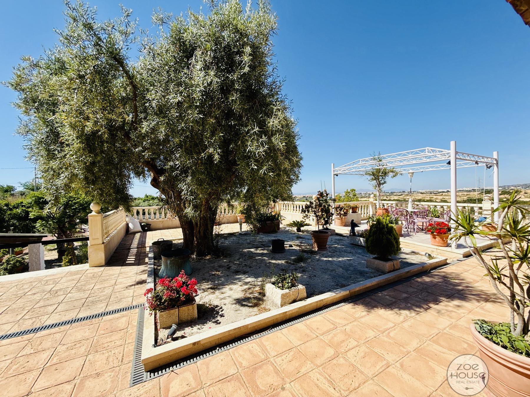 Venta de chalet en Elche-Elx
