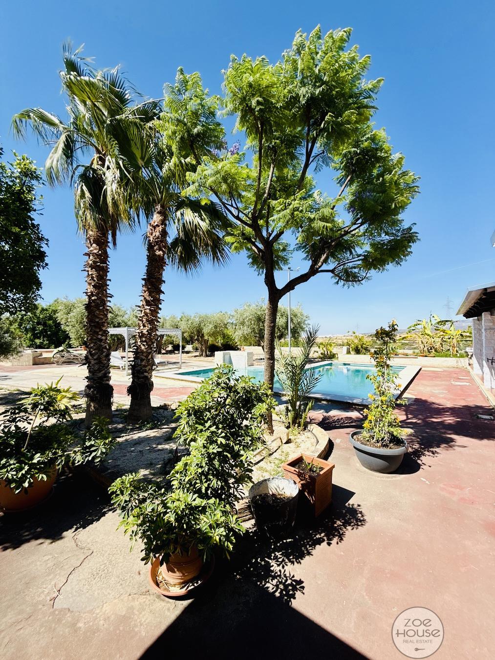 Venta de chalet en Elche-Elx