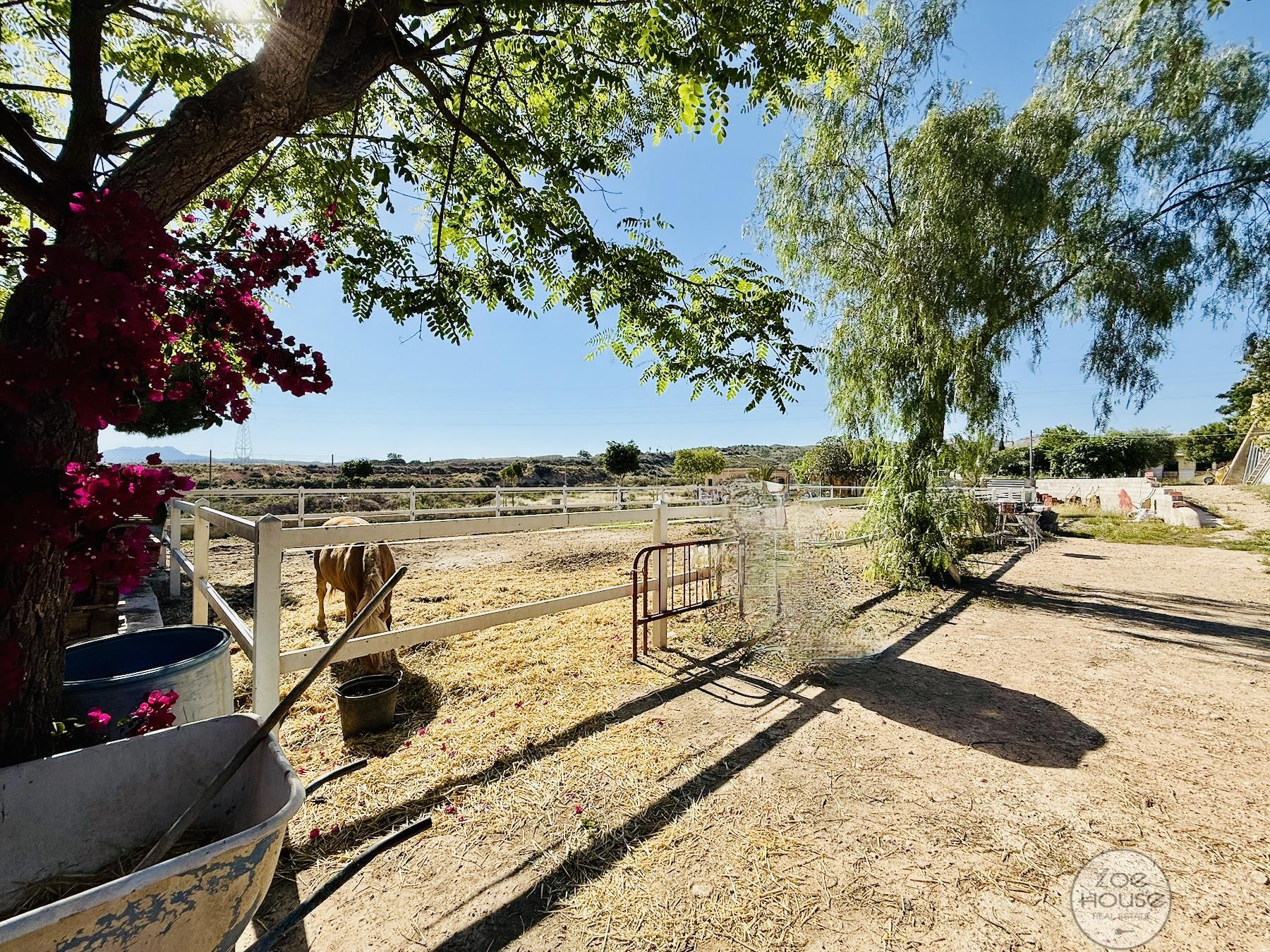 Venta de chalet en Elche-Elx