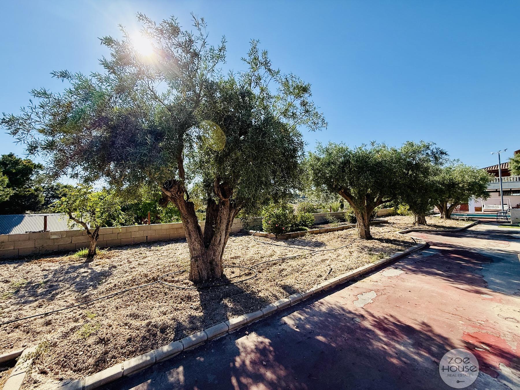 Venta de chalet en Elche-Elx