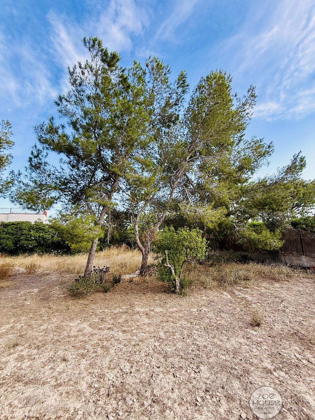 Venta de chalet en Elche-Elx