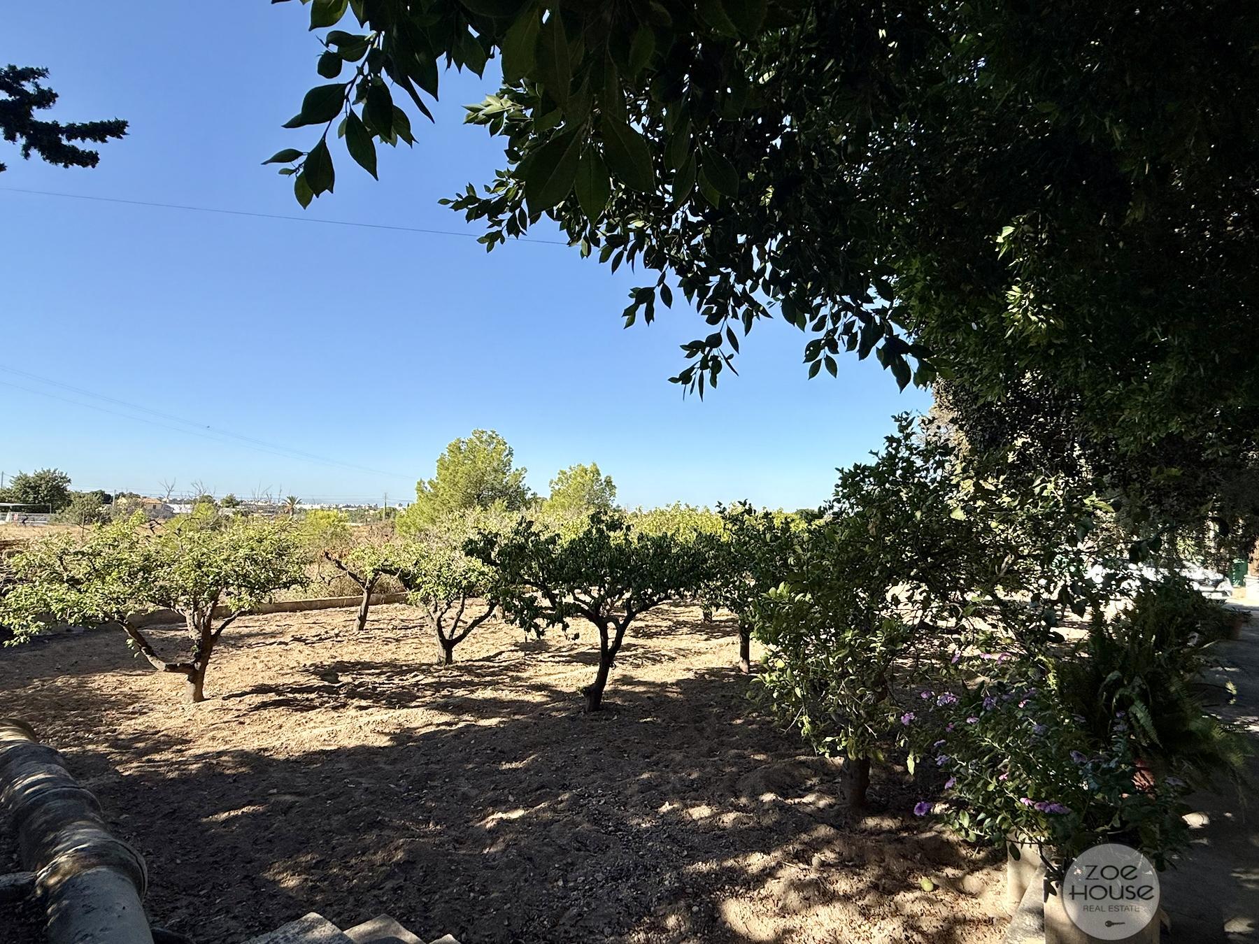 Venta de chalet en Elche-Elx