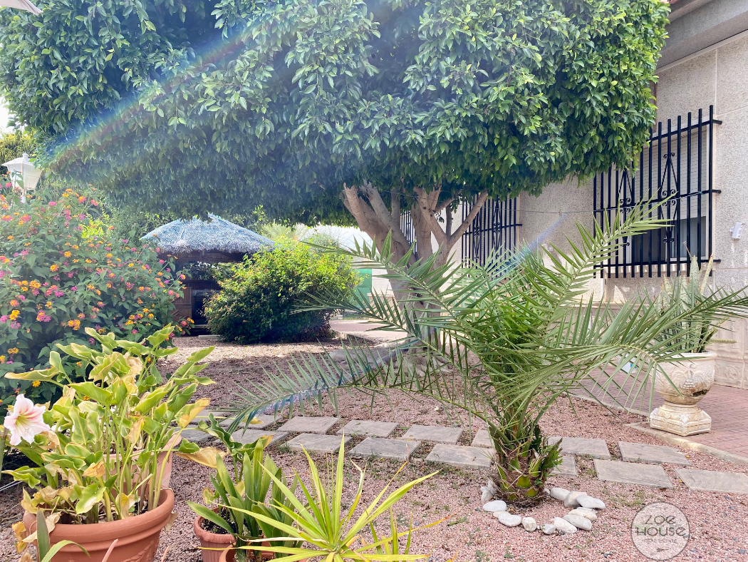 Venta de chalet en Elche-Elx
