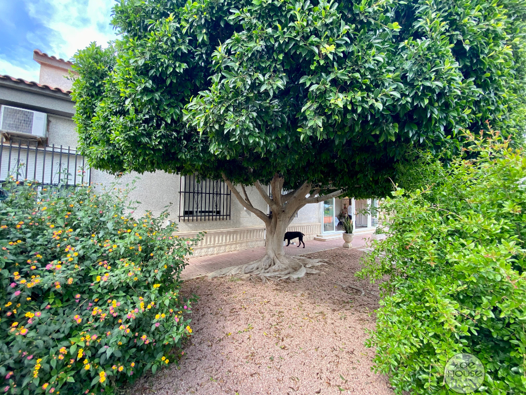 Venta de chalet en Elche-Elx