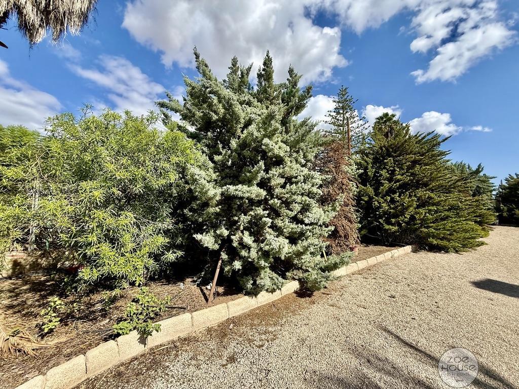 Venta de chalet en Elche-Elx
