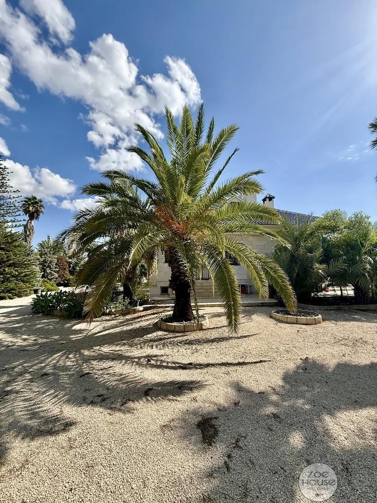 Venta de chalet en Elche-Elx