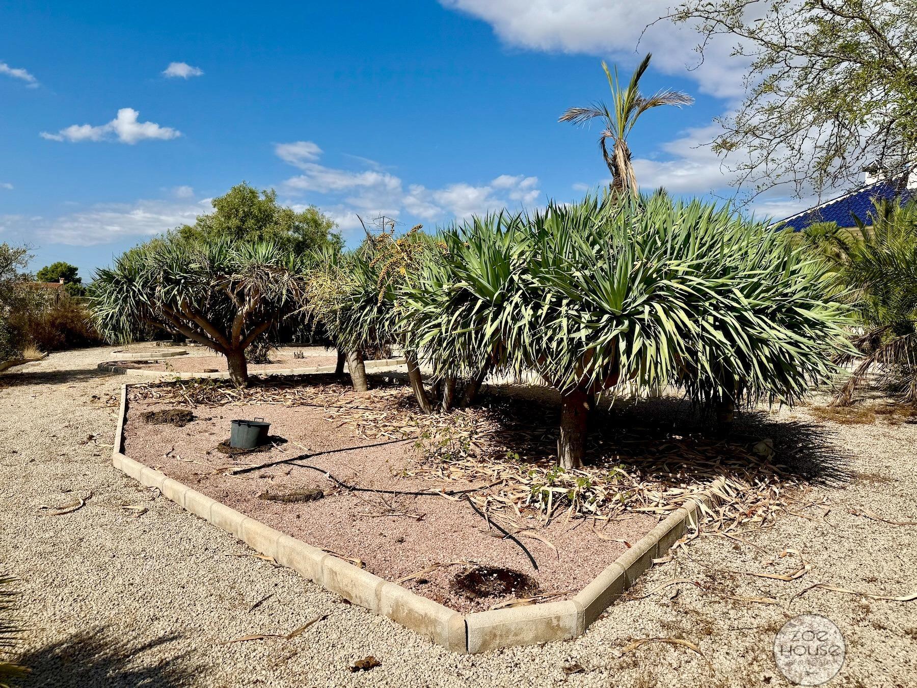 Venta de chalet en Elche-Elx