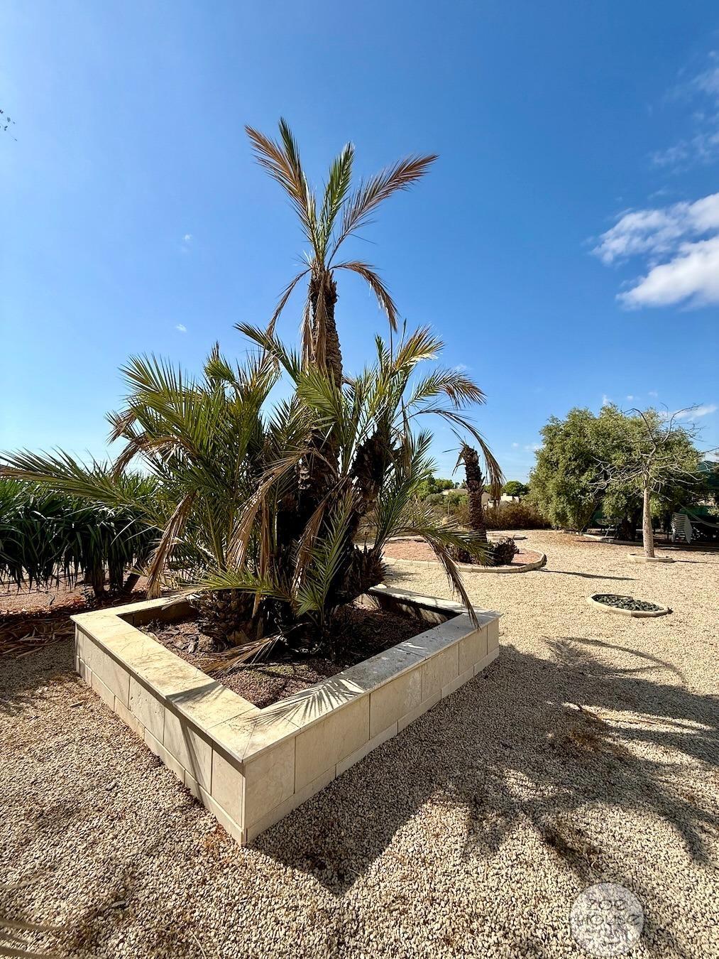 Venta de chalet en Elche-Elx