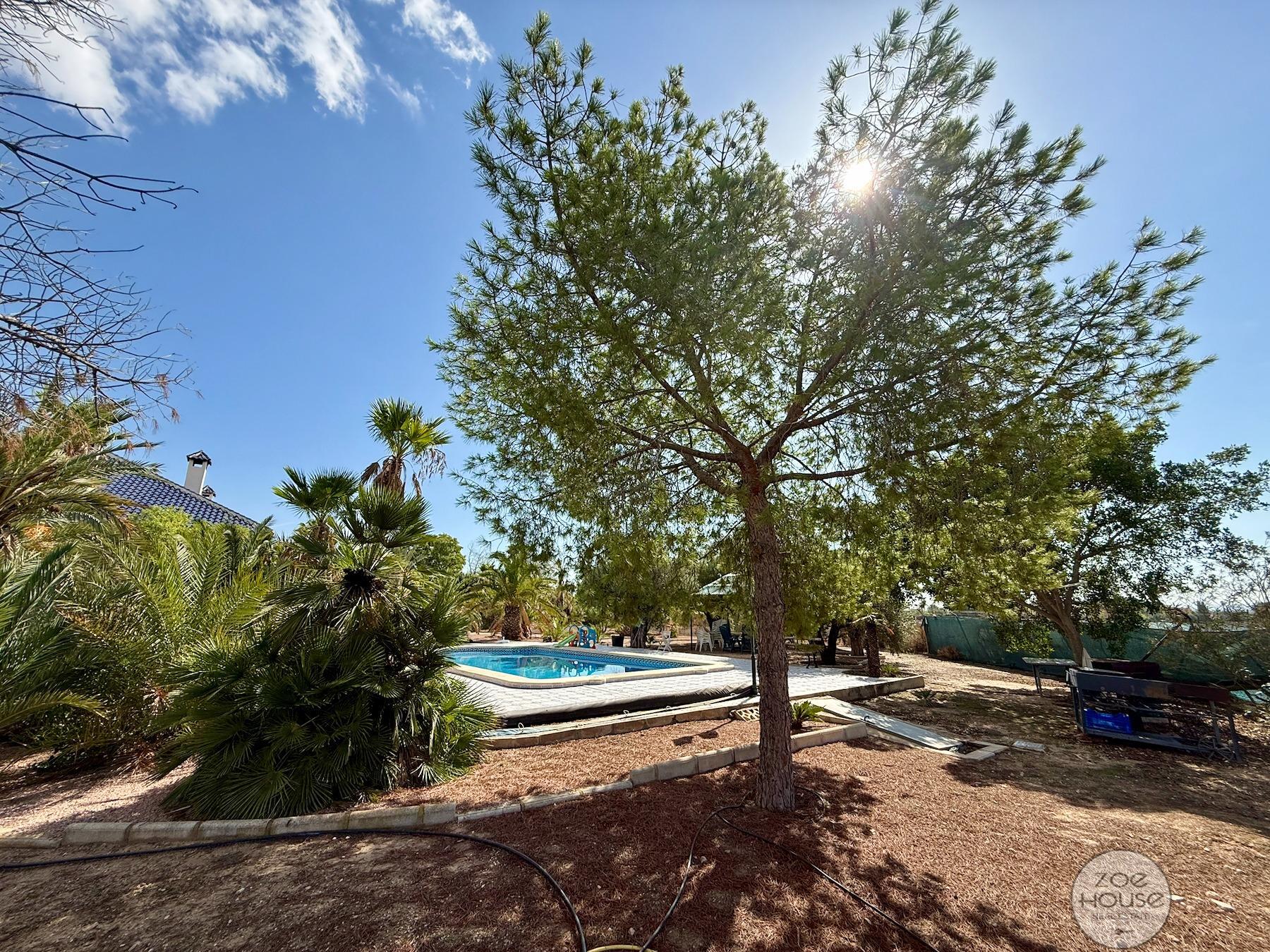 Venta de chalet en Elche-Elx