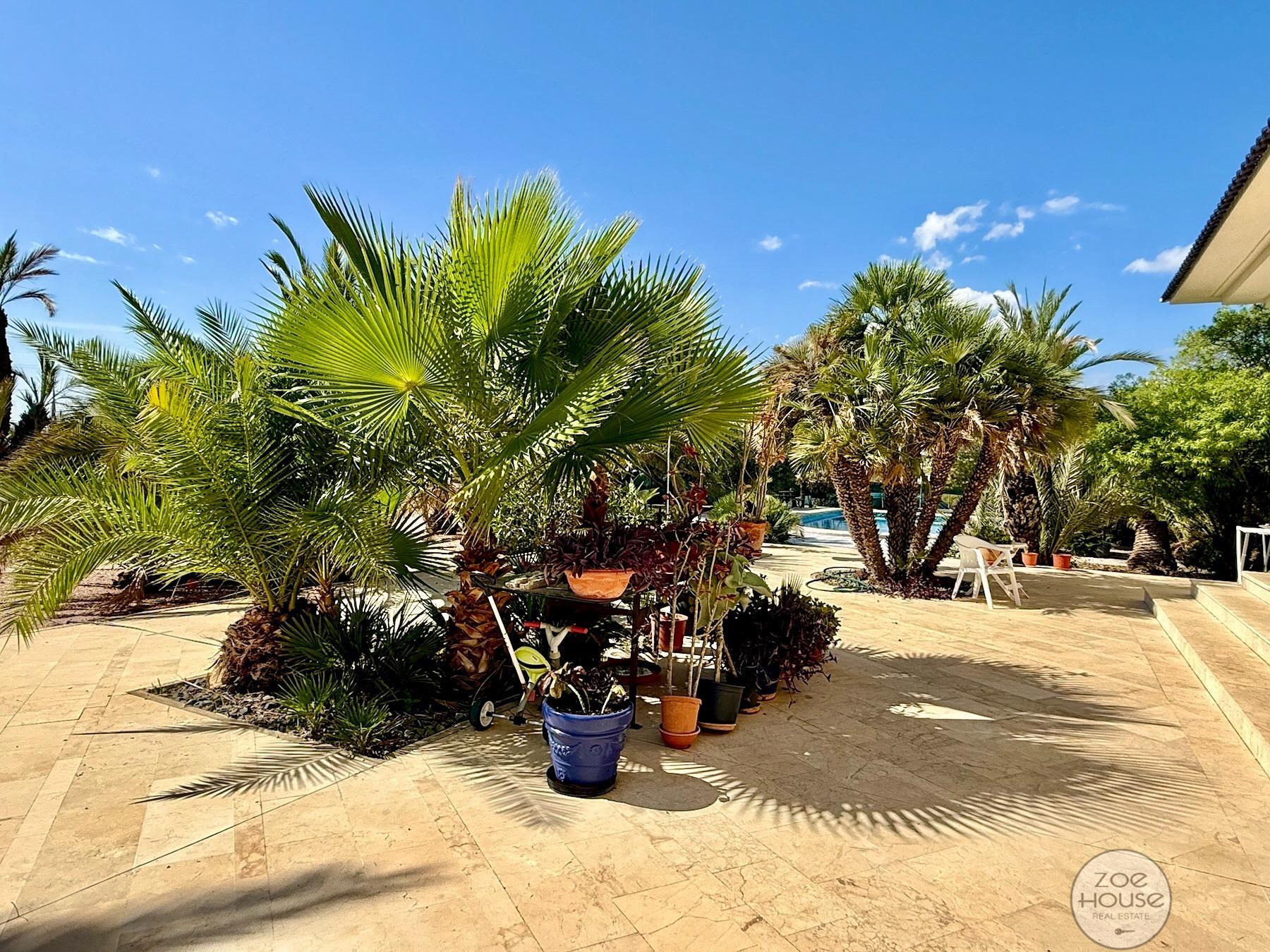 Venta de chalet en Elche-Elx