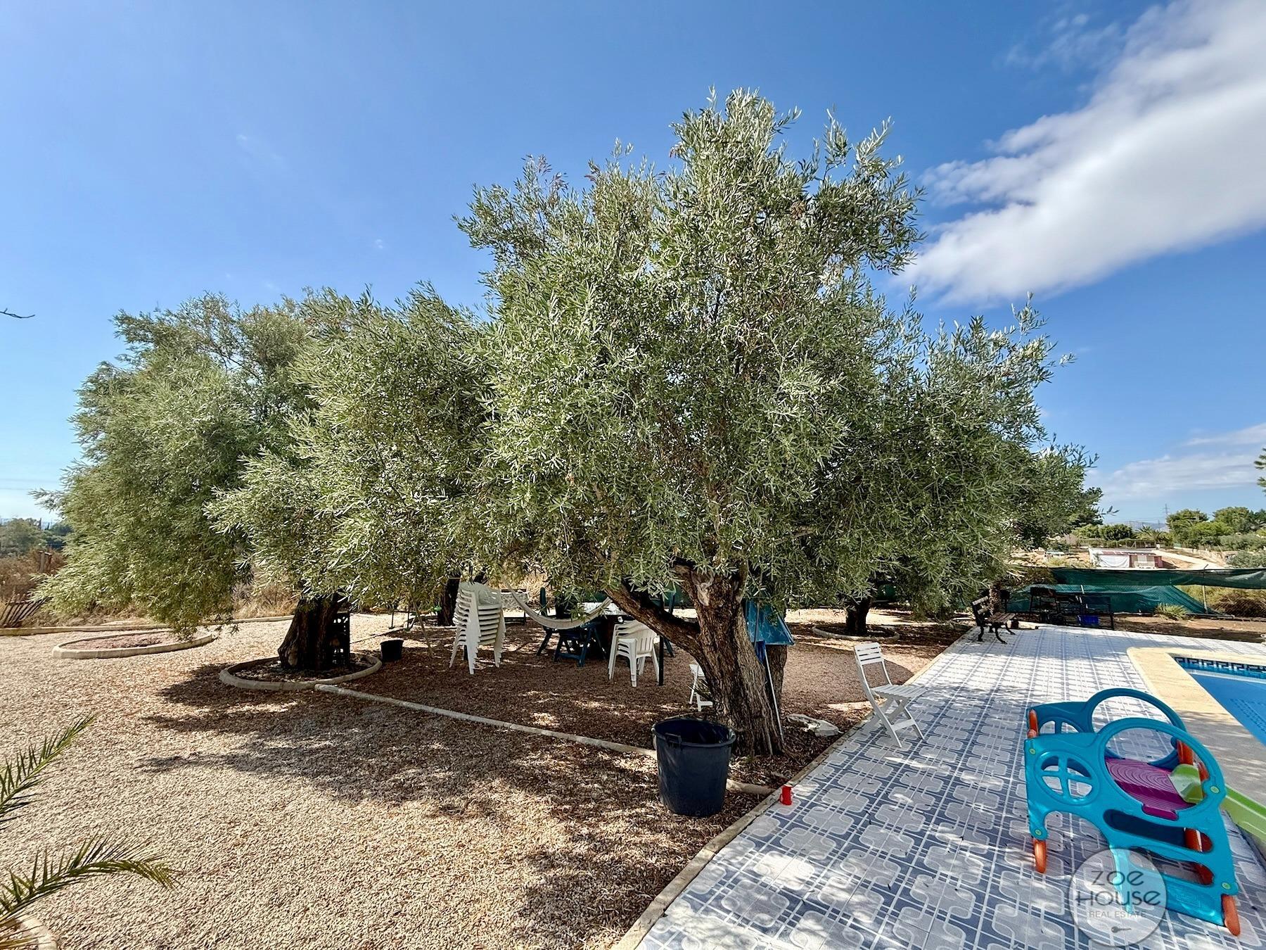 Venta de chalet en Elche-Elx