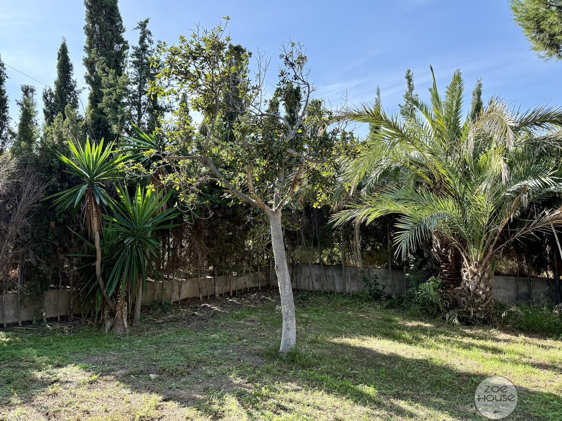 Venta de chalet en Elche-Elx