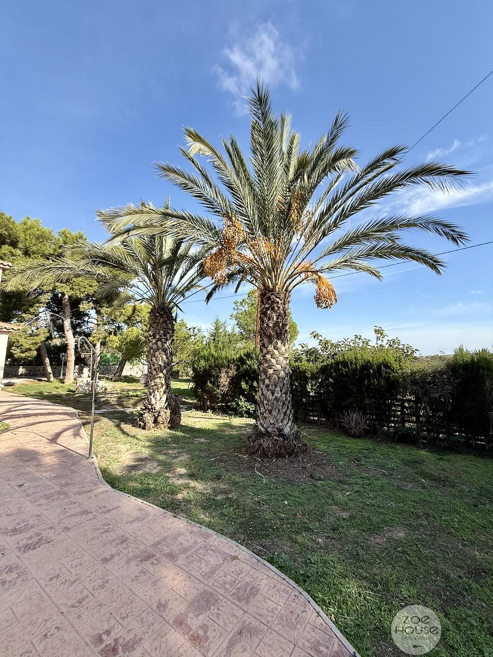 Venta de chalet en Elche-Elx