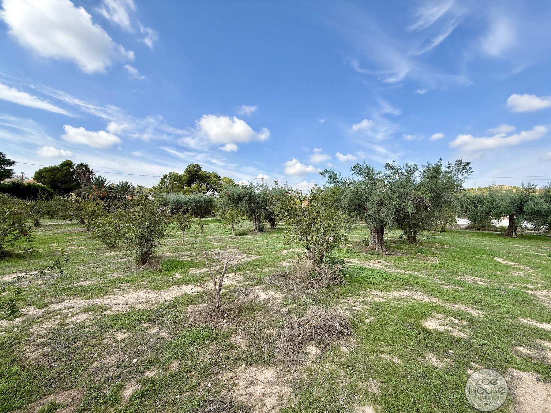 Venta de chalet en Elche-Elx