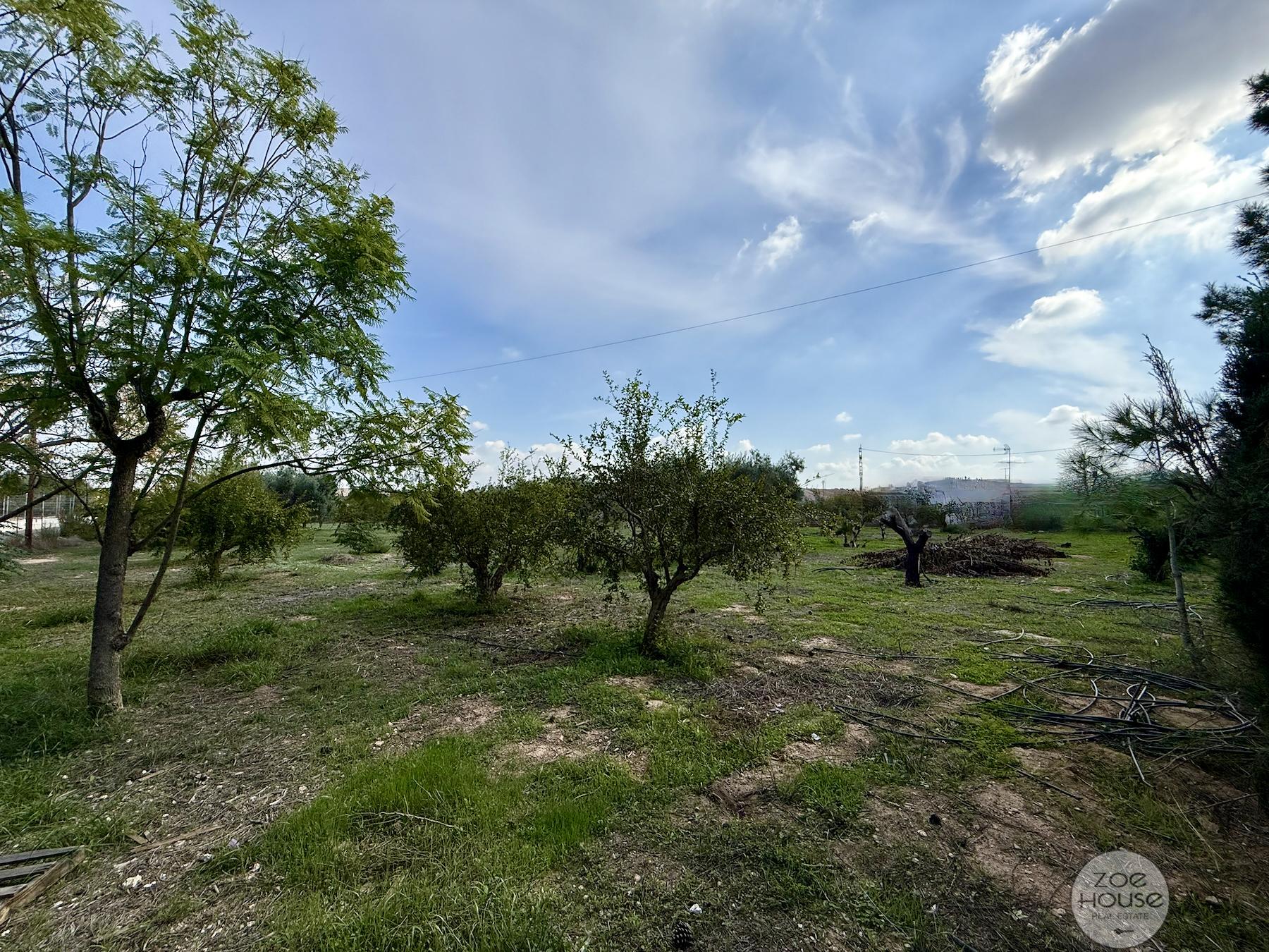 Venta de chalet en Elche-Elx
