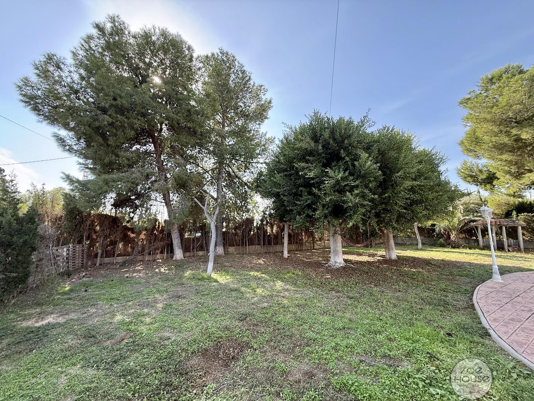 Venta de chalet en Elche-Elx