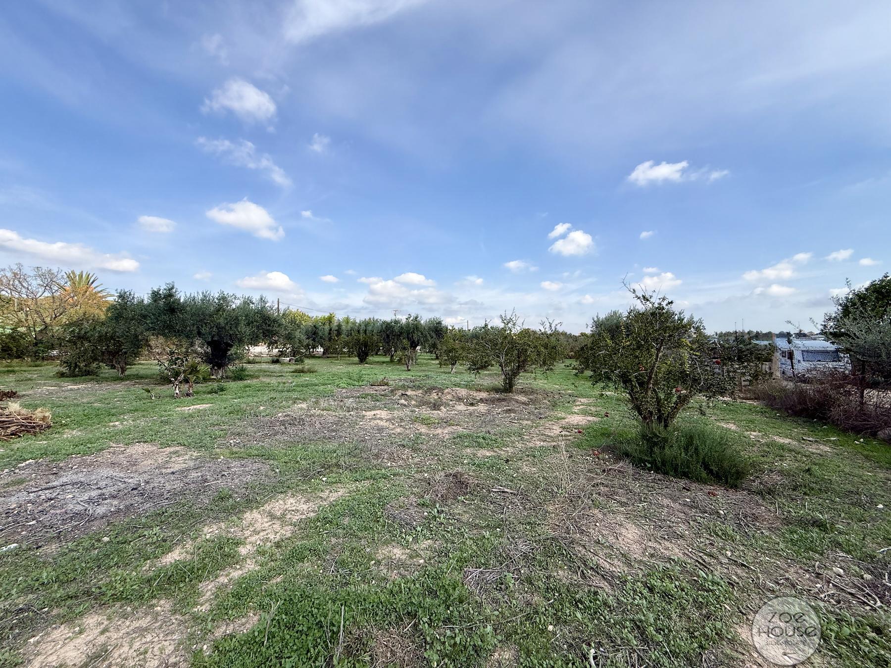 Venta de chalet en Elche-Elx