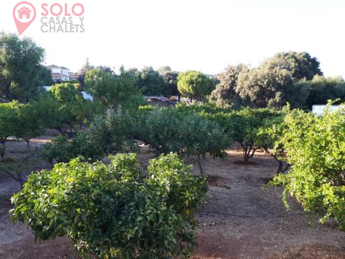 For sale of house in Córdoba