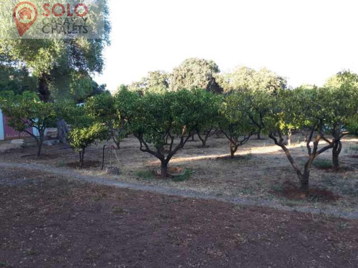 For sale of house in Córdoba