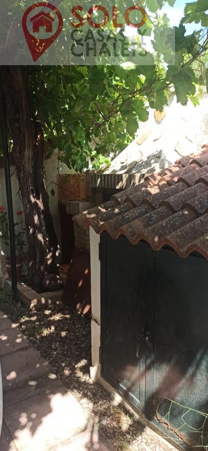 Venta de chalet en Córdoba