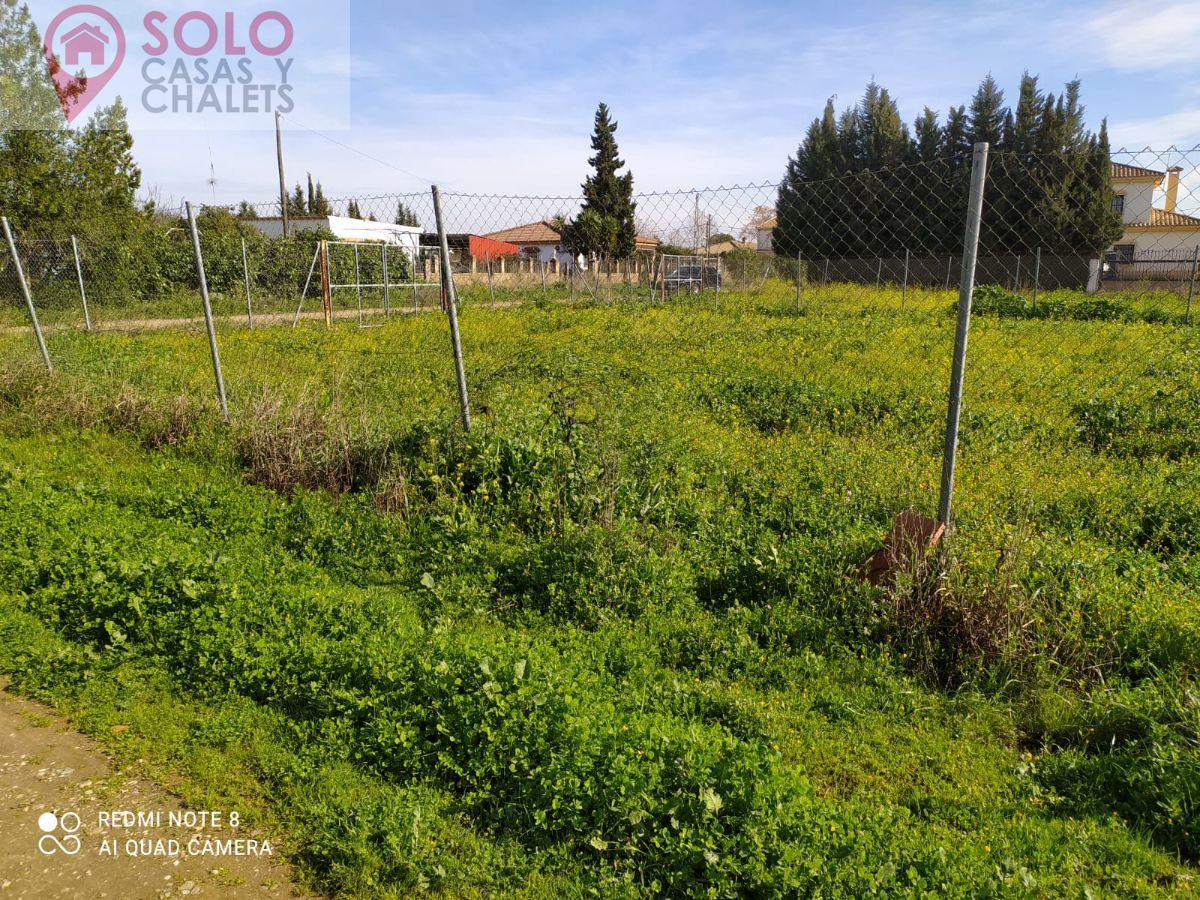 For sale of land in Córdoba