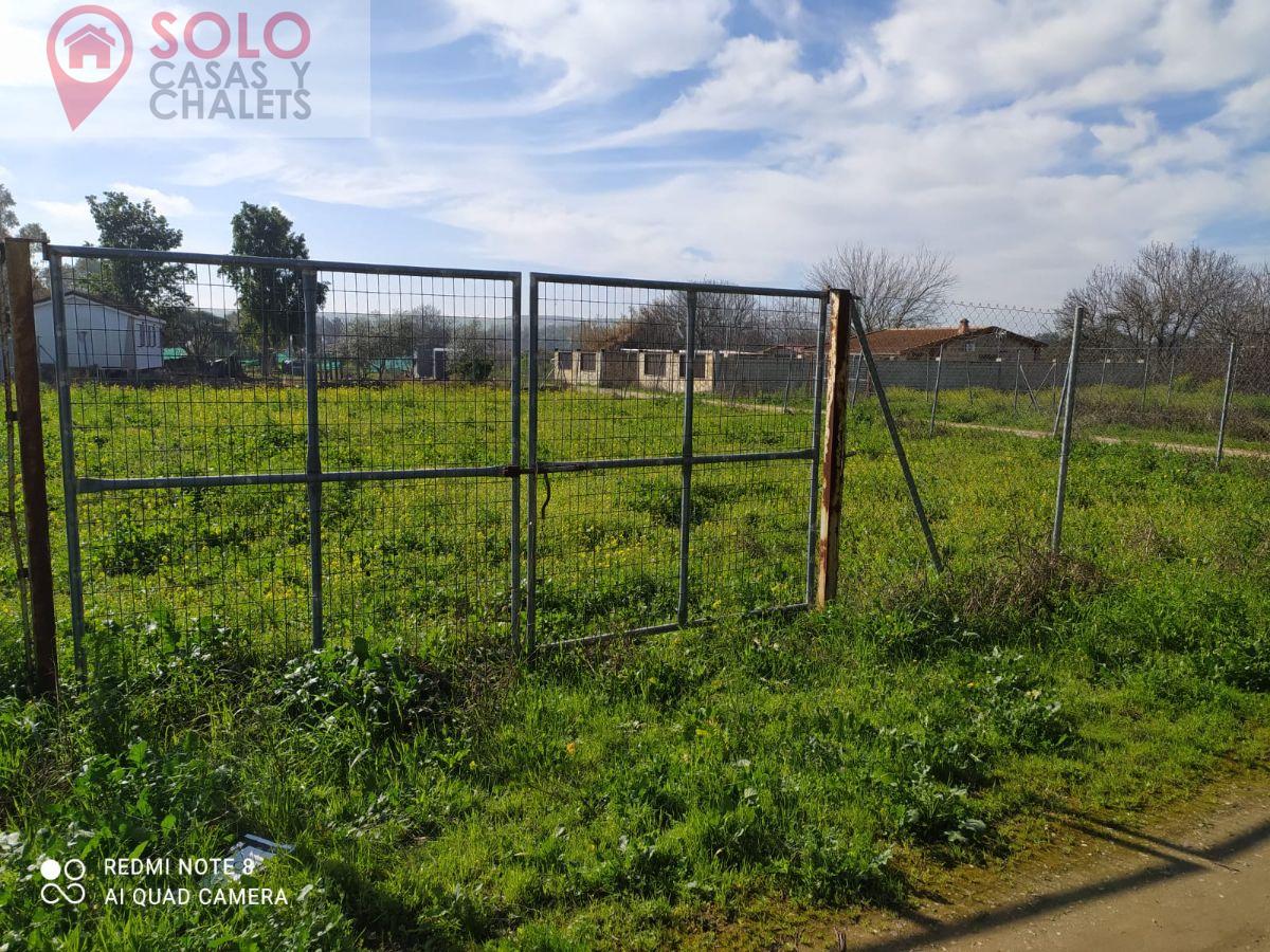 For sale of land in Córdoba