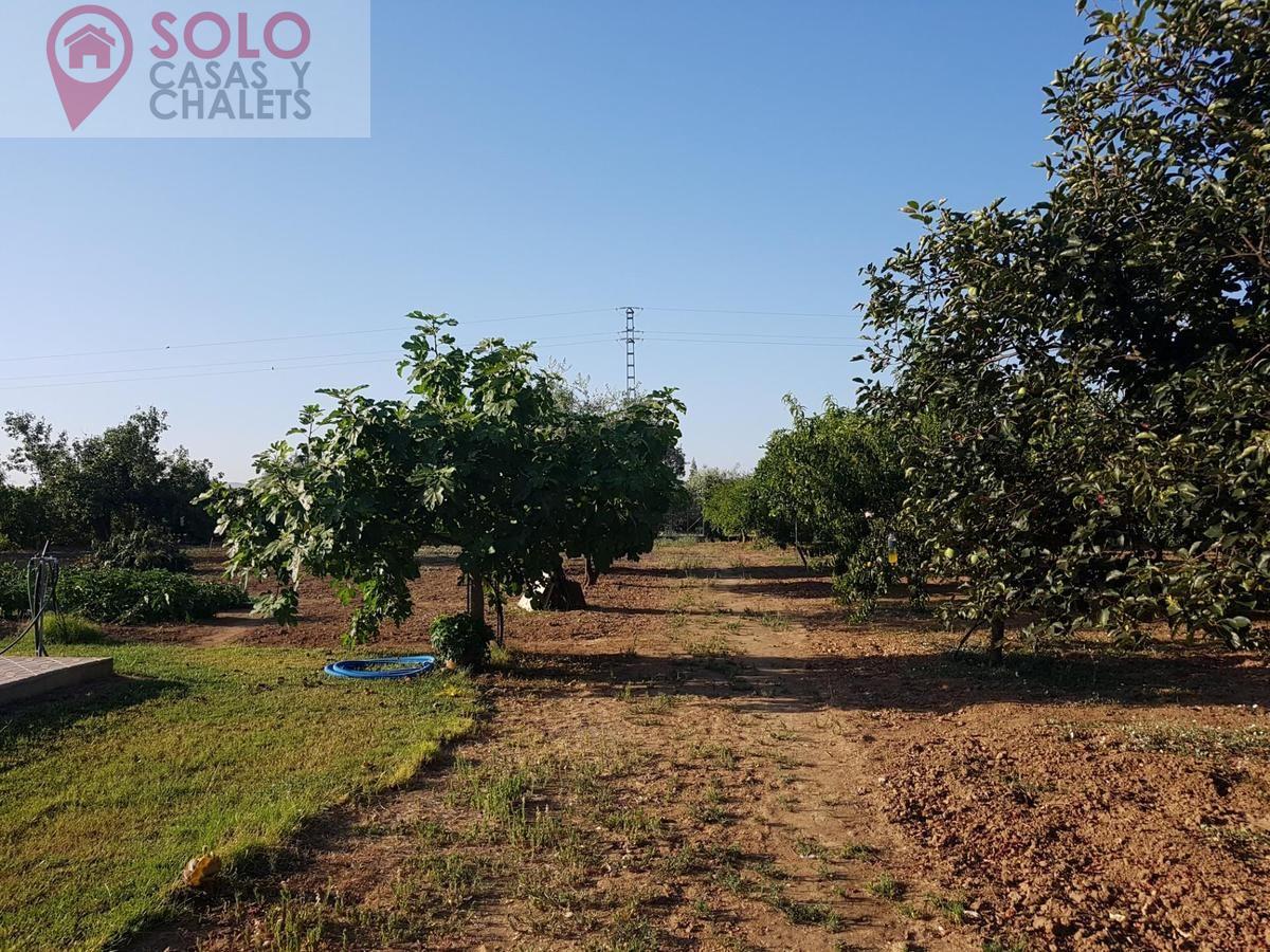 For sale of house in Córdoba