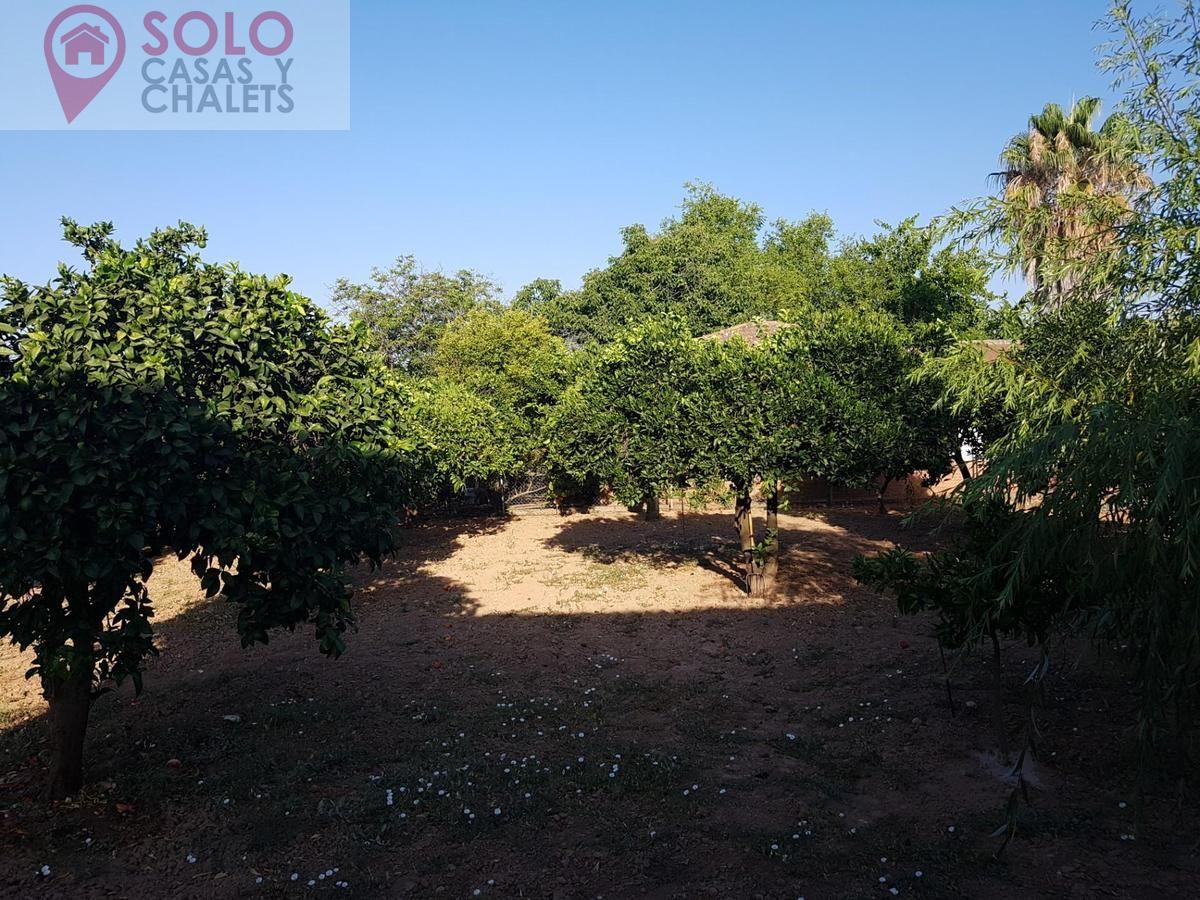 For sale of house in Córdoba
