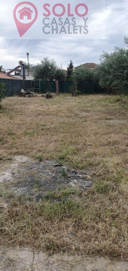 For sale of house in Córdoba