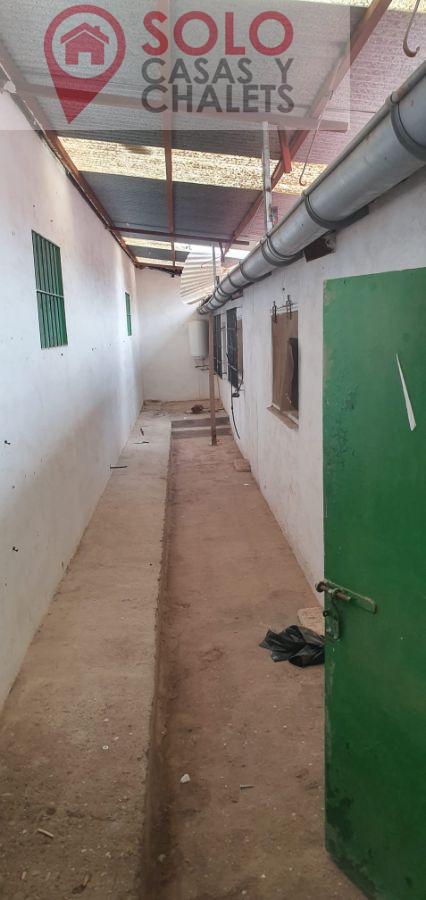 For sale of house in Córdoba