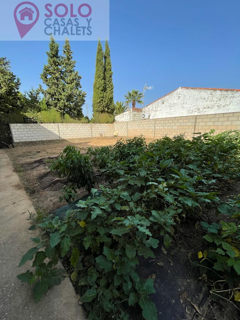 For sale of house in Córdoba