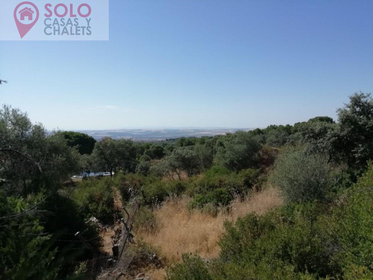 For sale of land in Córdoba