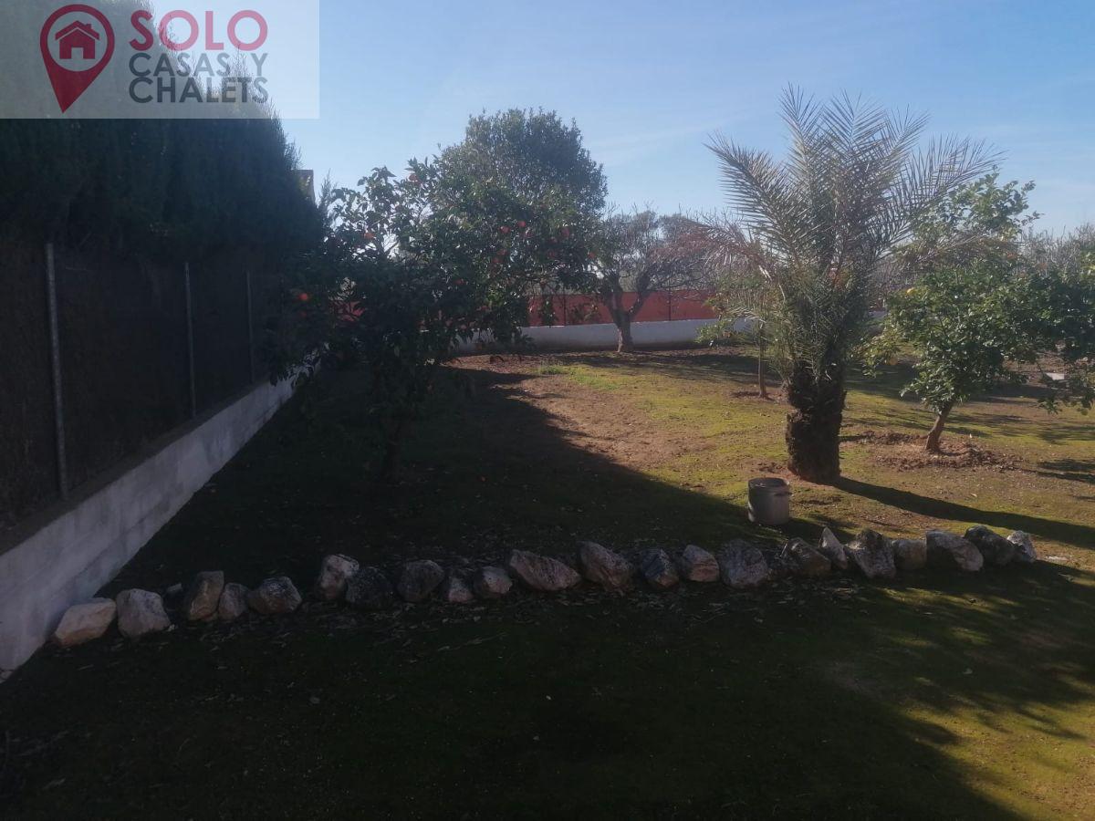 For sale of house in Córdoba