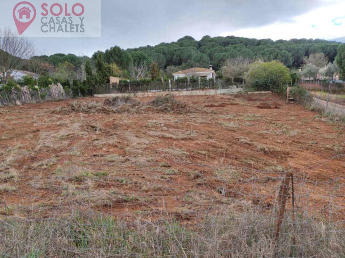 For sale of land in Córdoba