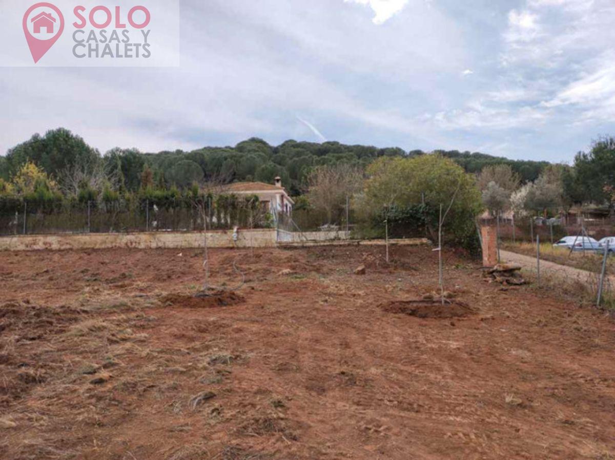 For sale of land in Córdoba