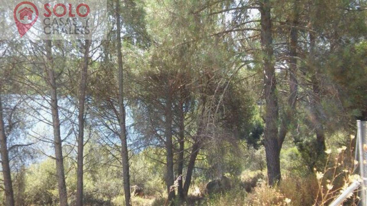 For sale of land in Córdoba