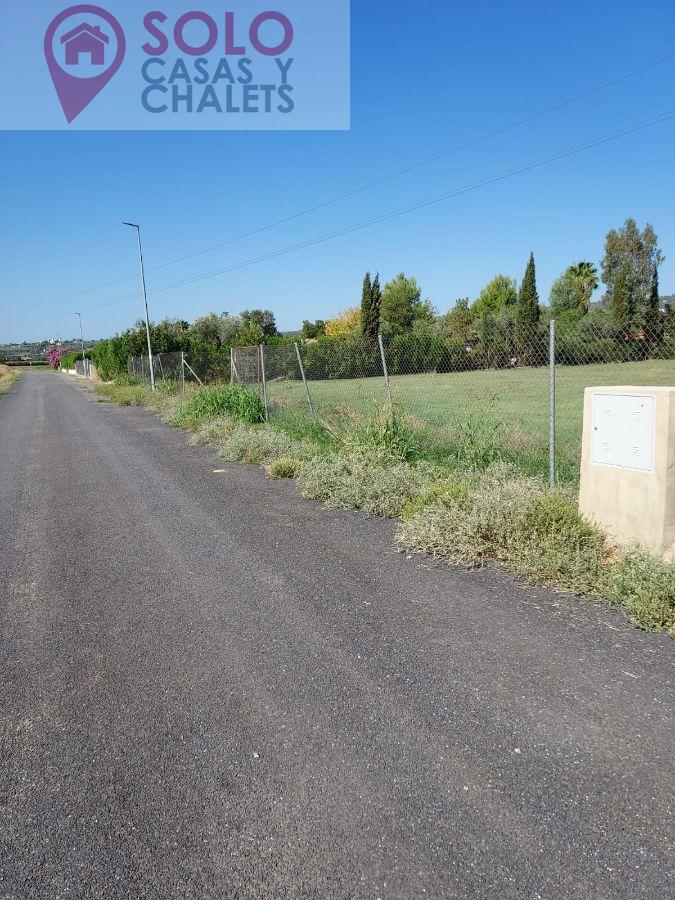 For sale of land in Córdoba