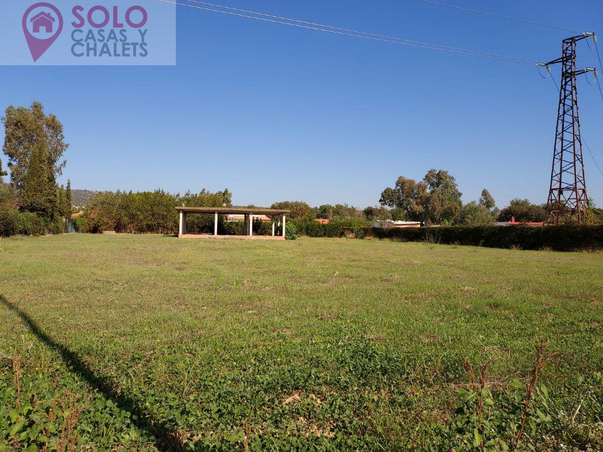 For sale of land in Córdoba