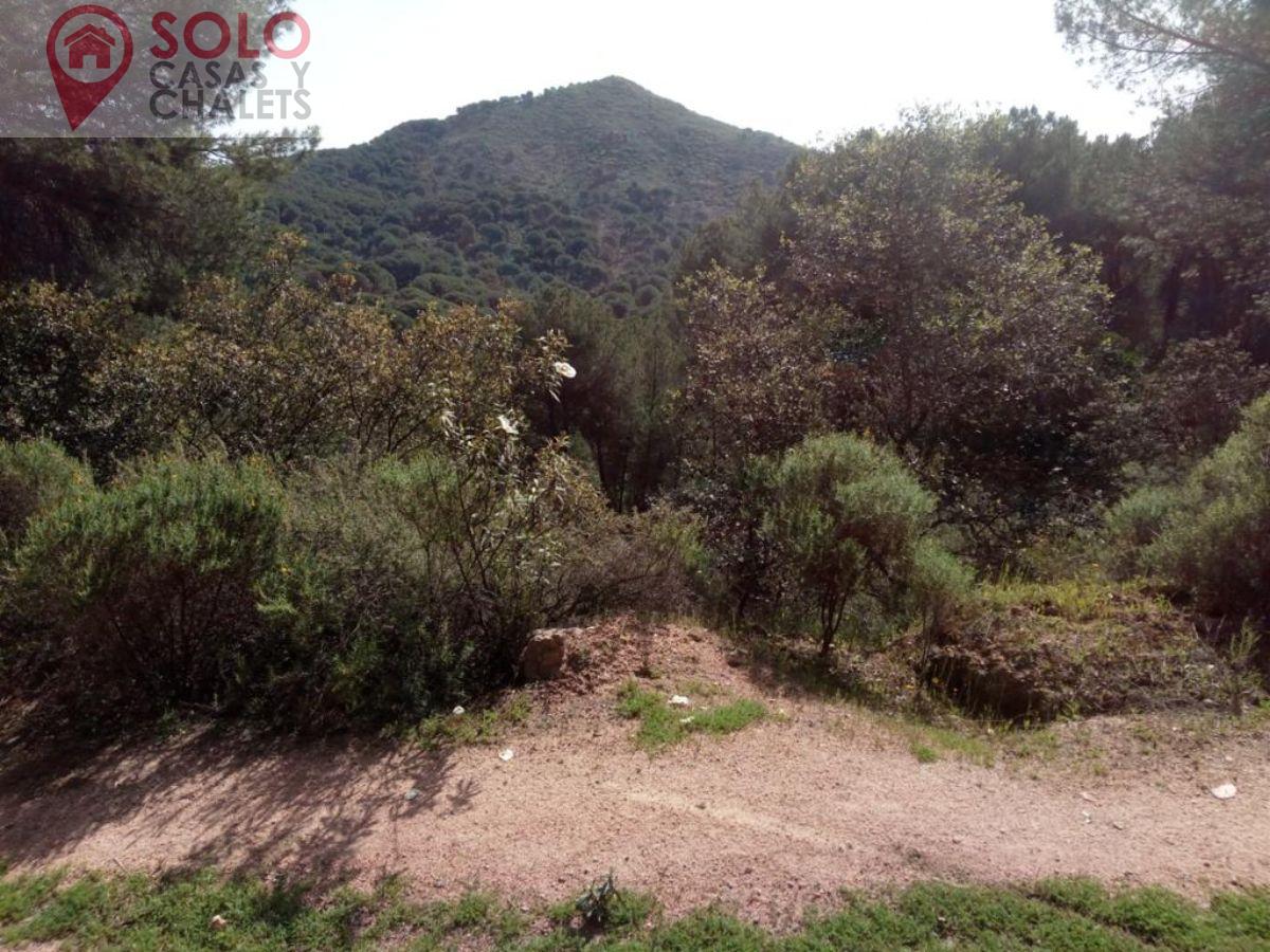 For sale of land in Córdoba