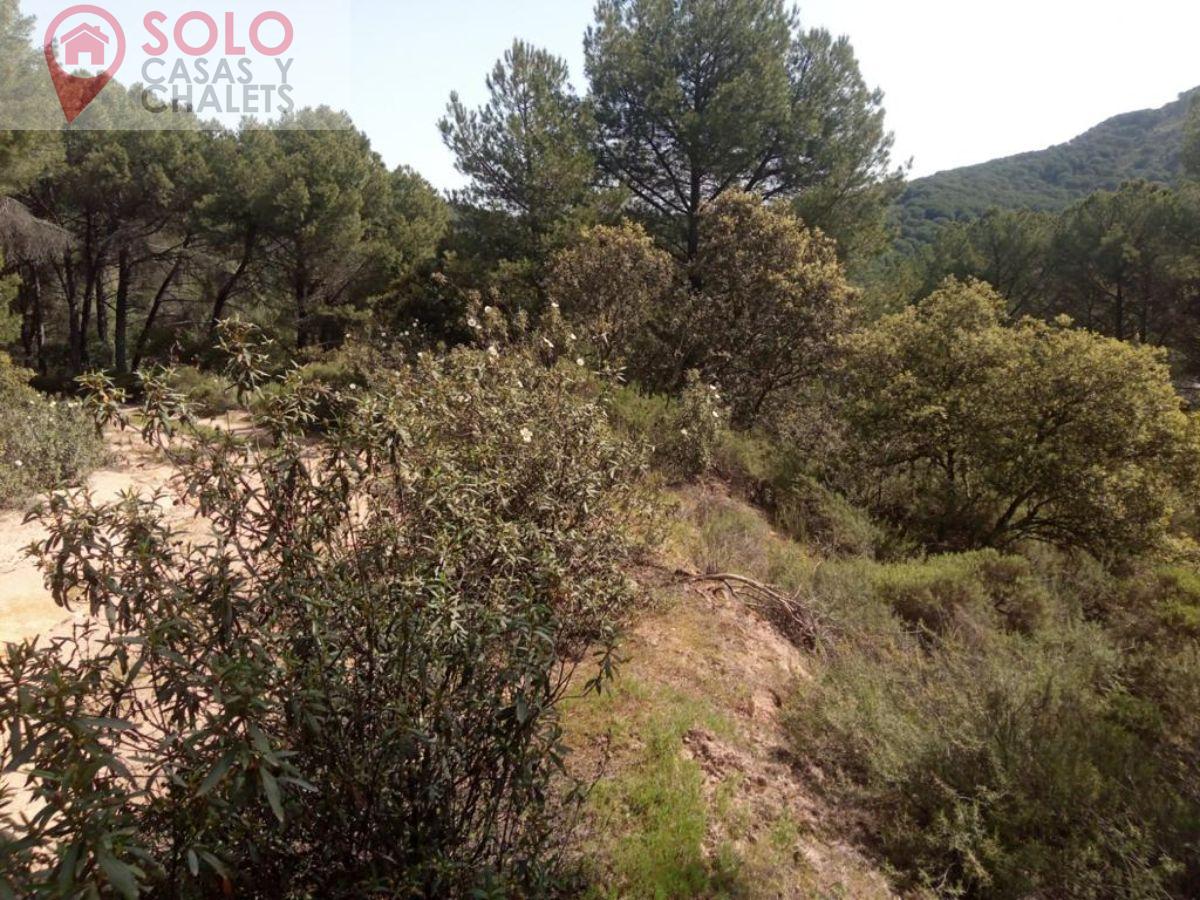 For sale of land in Córdoba