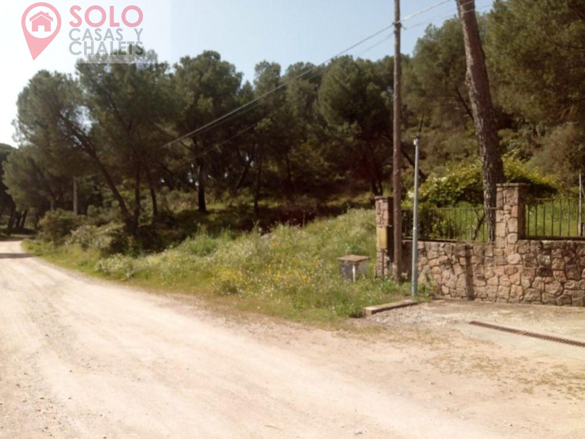 For sale of land in Córdoba